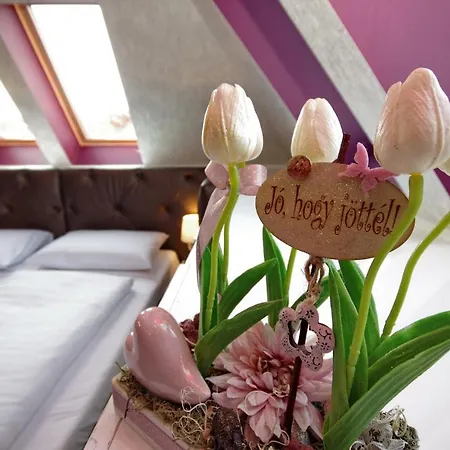Appartement Varfuerdo Panzio Gyula