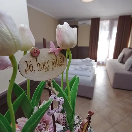 Varfuerdo Panzio * Gyula