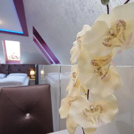 Apartman Várfürdő Panzió