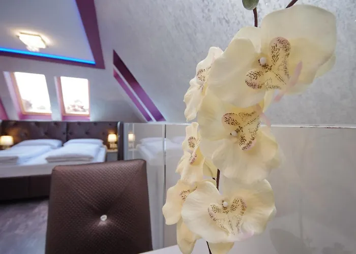 Apartament Varfuerdo Panzio